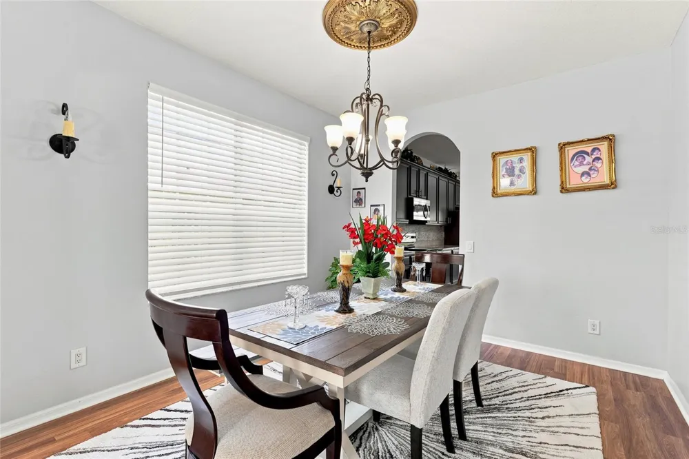 29719 CEDAR WAXWING DRIVE Wesley Chapel, FL 33545