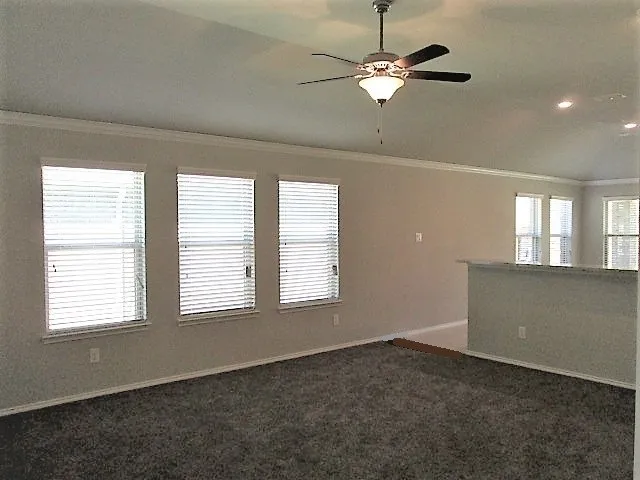 159 Blair Drive Fate, TX 75189