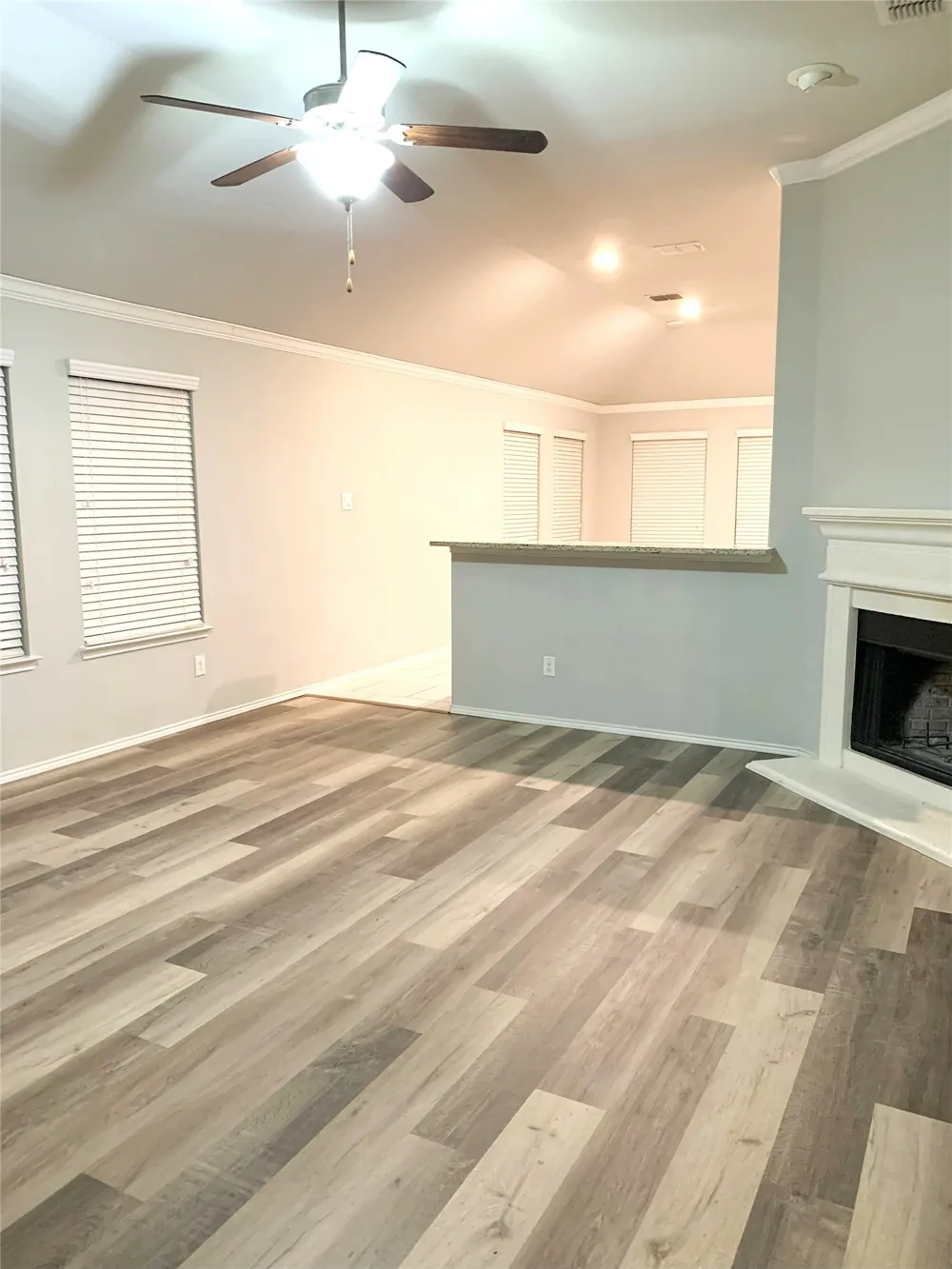 159 Blair Drive Fate, TX 75189