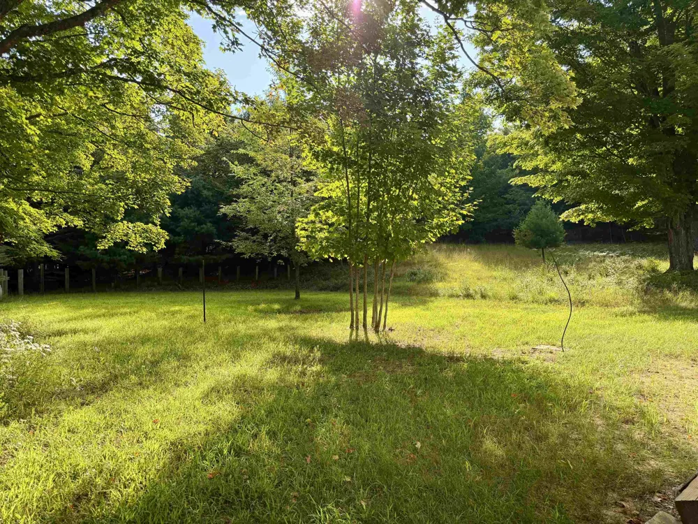 10746 Deal Road Whitewater Township, MI 49690