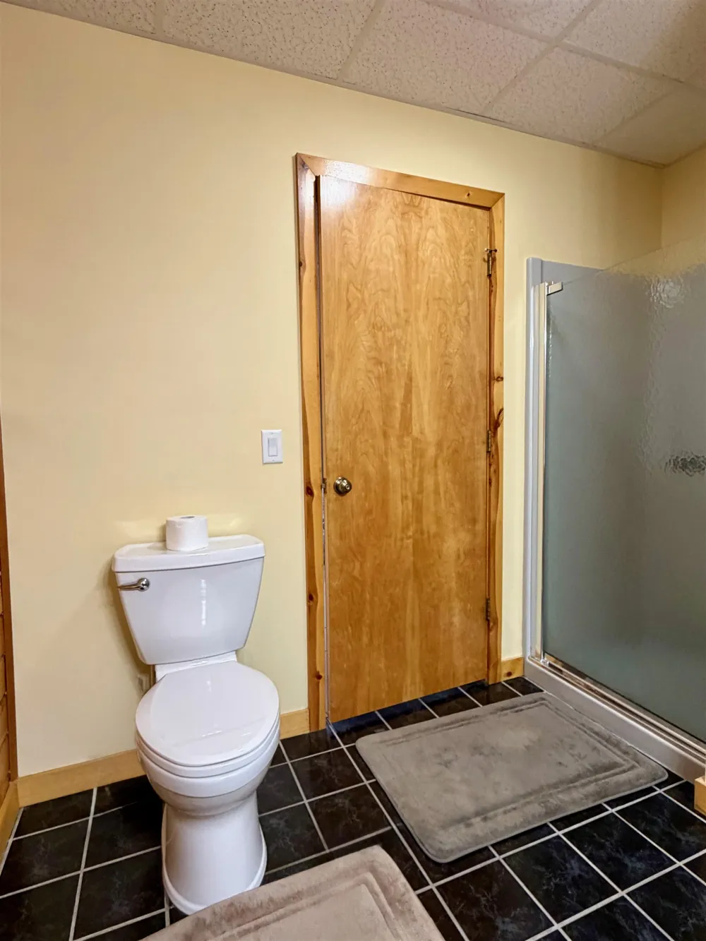 10746 Deal Road Whitewater Township, MI 49690