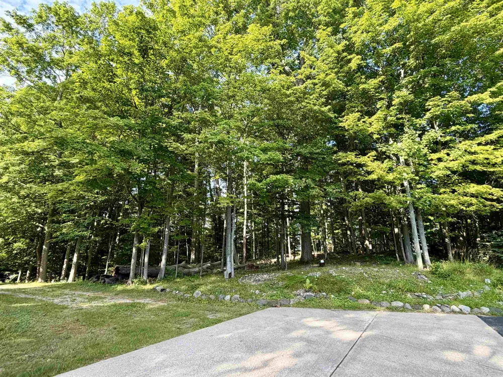 10746 Deal Road Whitewater Township, MI 49690