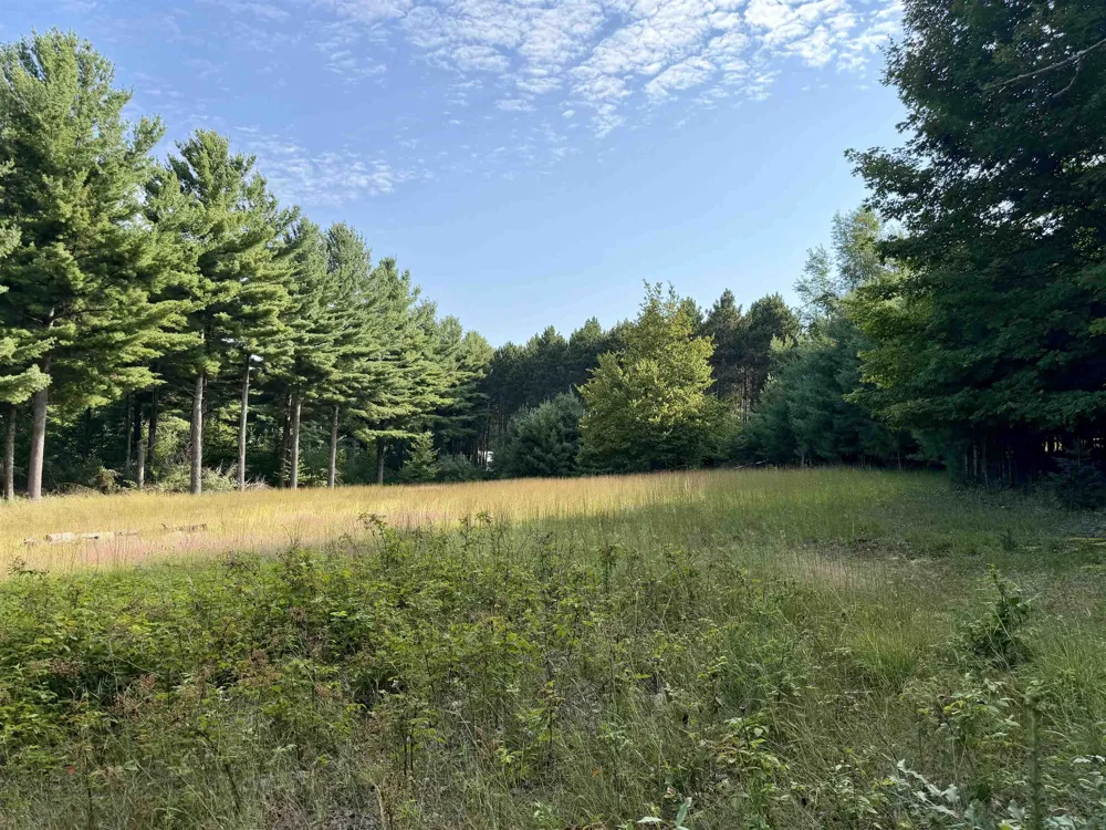 10746 Deal Road Whitewater Township, MI 49690