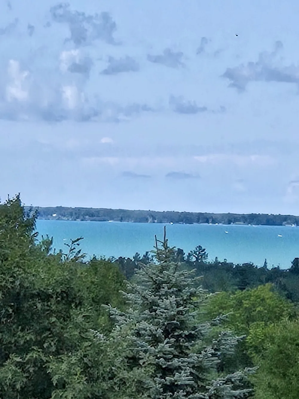 10746 Deal Road Whitewater Township, MI 49690