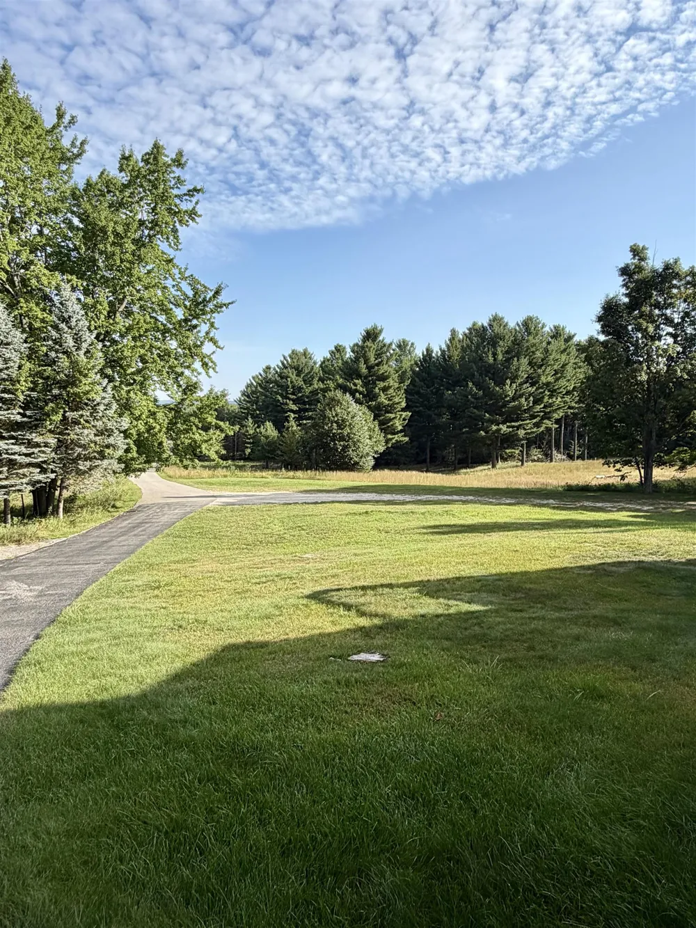 10746 Deal Road Whitewater Township, MI 49690