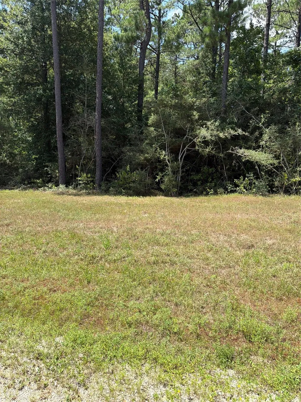 54 Grey Feather Road Huntsville, TX 77340