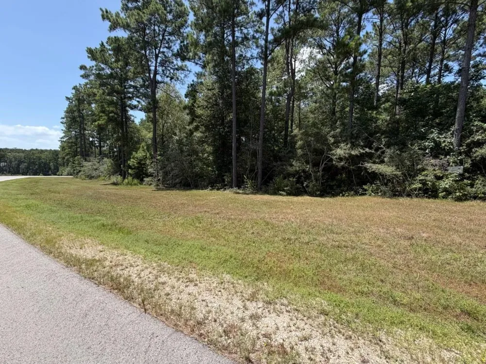 54 Grey Feather Road Huntsville, TX 77340