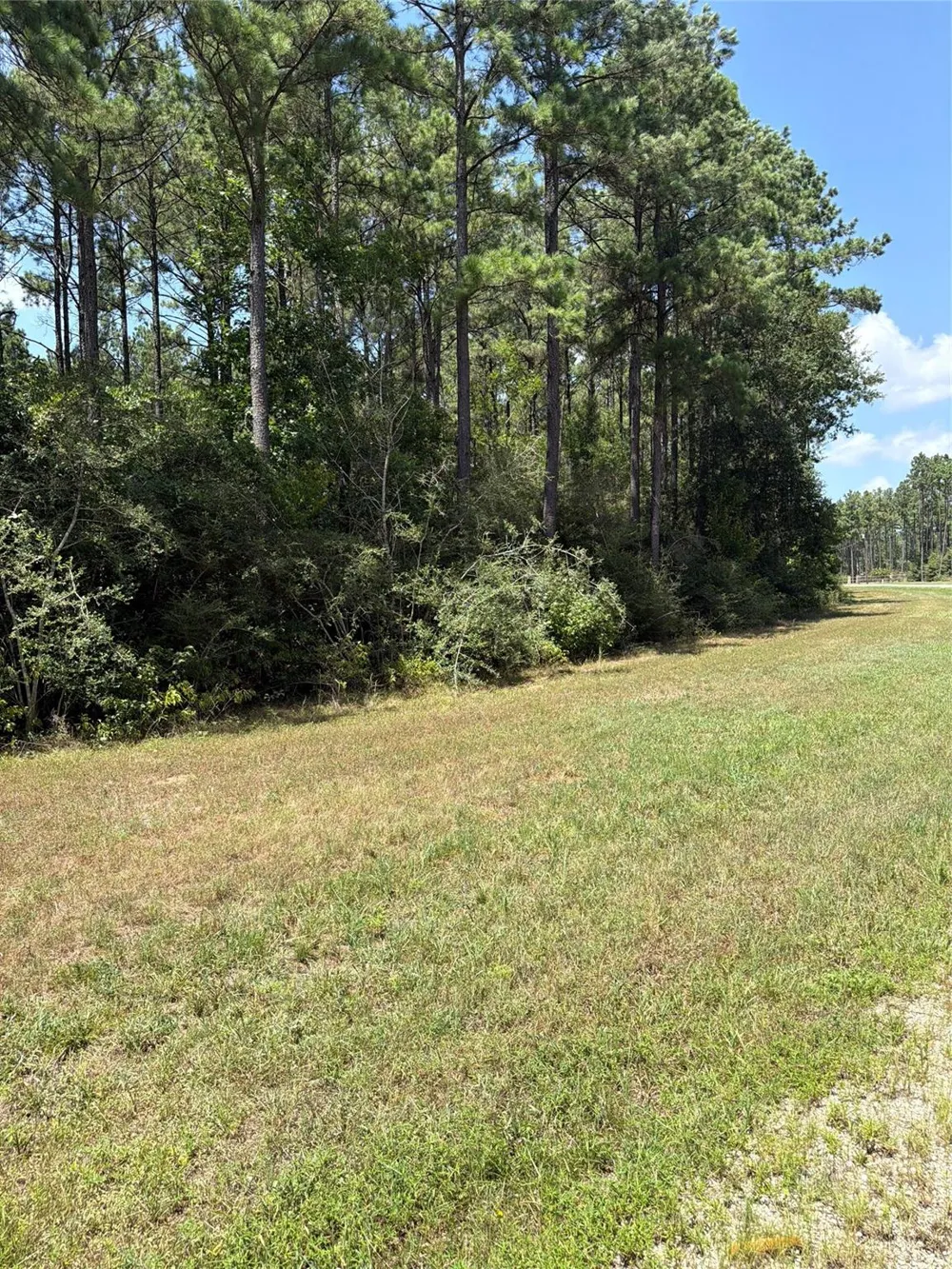 54 Grey Feather Road Huntsville, TX 77340