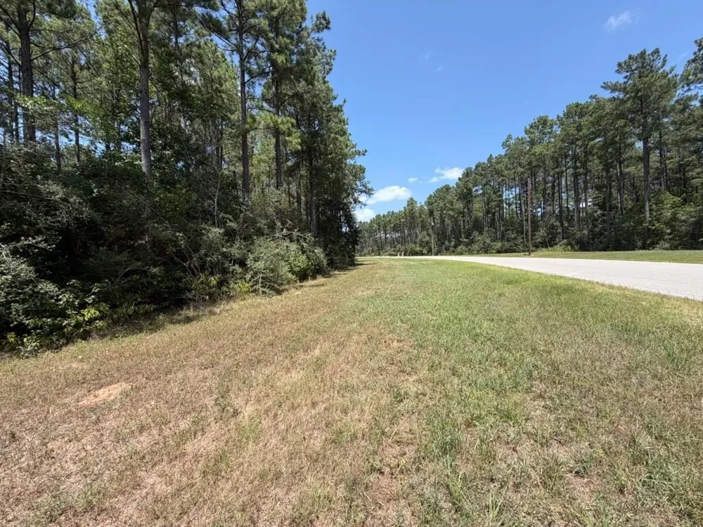 54 Grey Feather Road Huntsville, TX 77340
