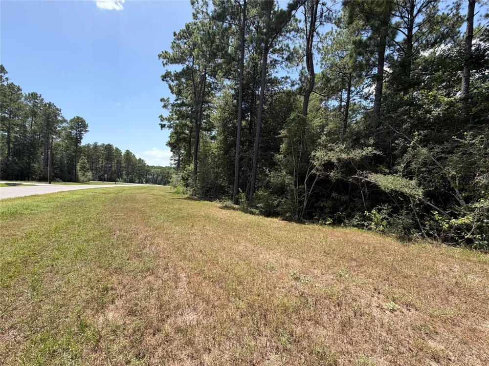 54 Grey Feather Road Huntsville, TX 77340