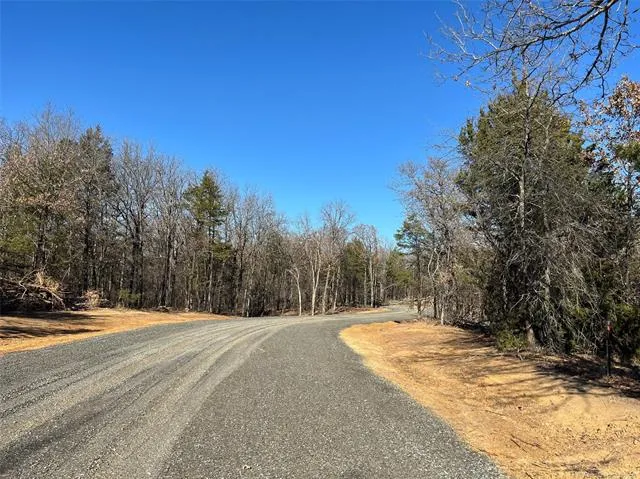 185 Tumbleweed Trail Tishomingo, OK 73460