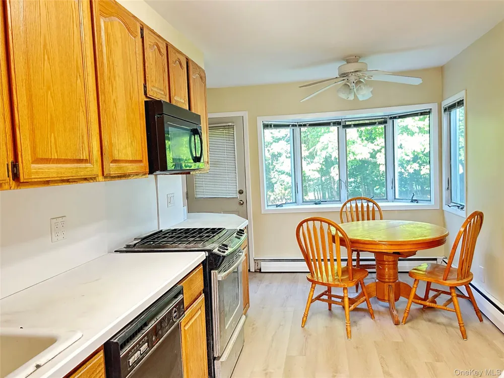 29 jean Place Syosset, NY 11791