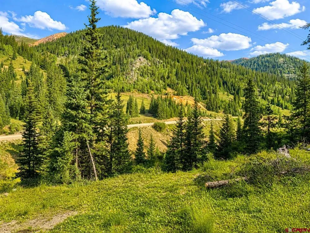 4900 County Road 110 Silverton, CO 81433