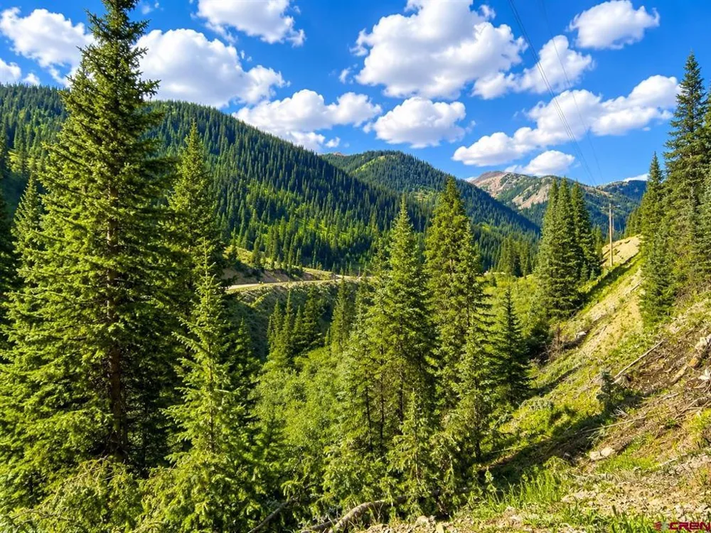 4900 County Road 110 Silverton, CO 81433