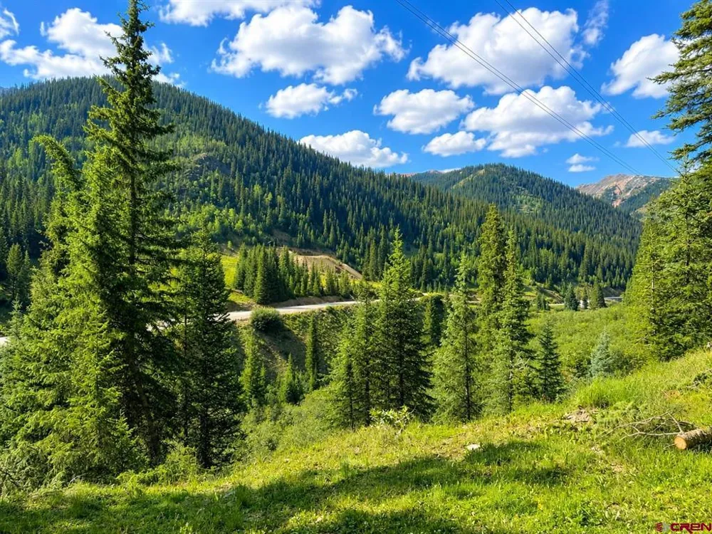 4900 County Road 110 Silverton, CO 81433