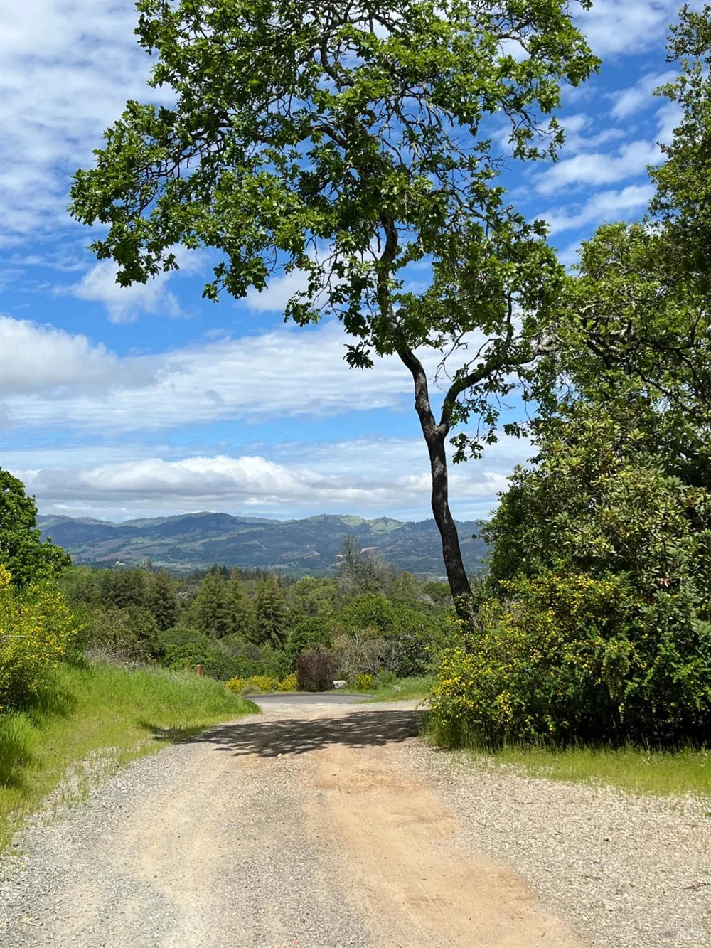 10 High Grove Lane Sonoma, CA 95476