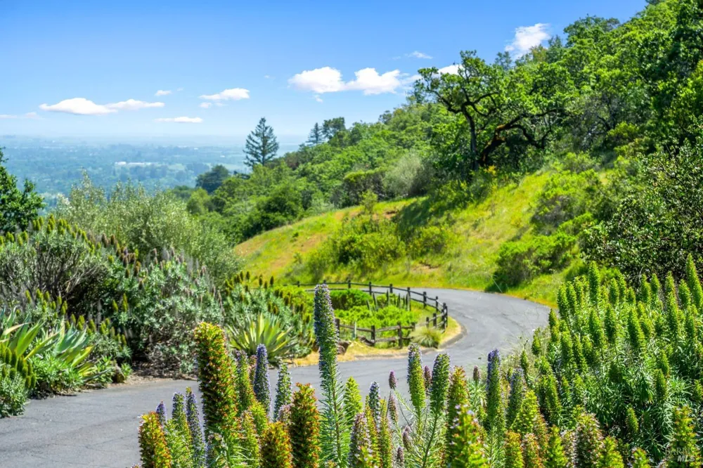 10 High Grove Lane Sonoma, CA 95476