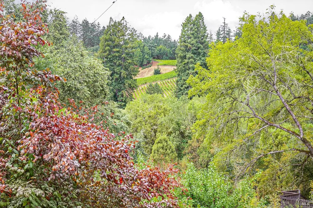 9412 Westside Road Forestville, CA 95436