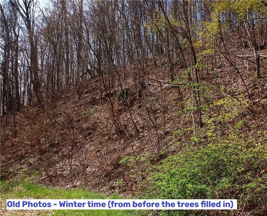 Yonah Trl Waynesville, NC 28785