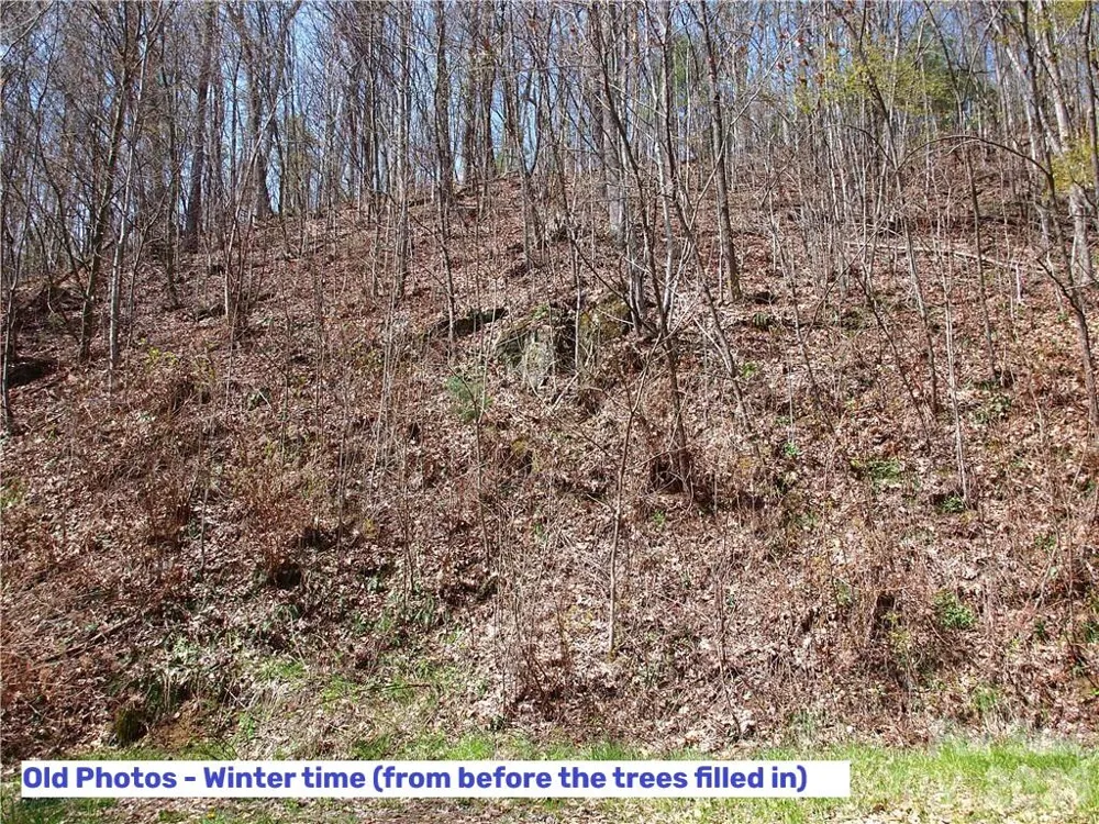 Yonah Trl Waynesville, NC 28785