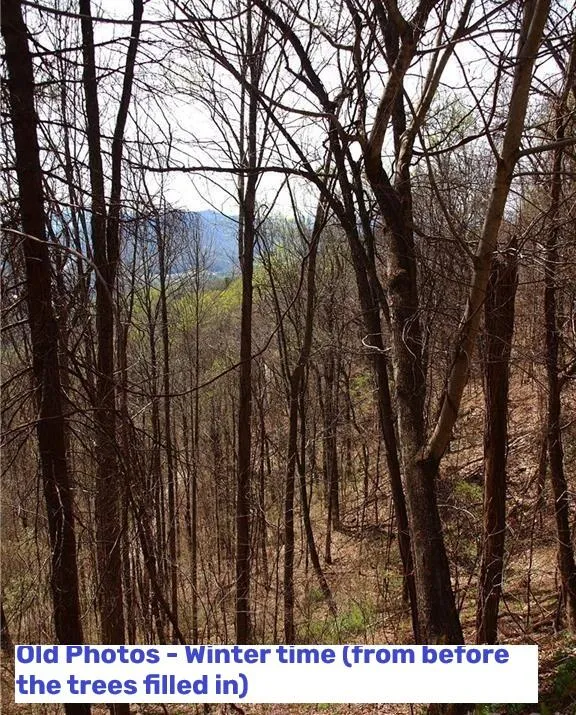 Yonah Trl Waynesville, NC 28785