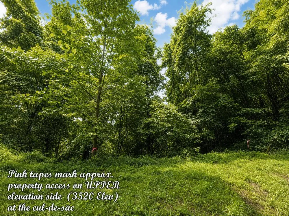 Yonah Trl Waynesville, NC 28785