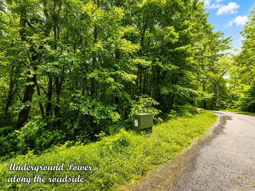 Yonah Trl Waynesville, NC 28785