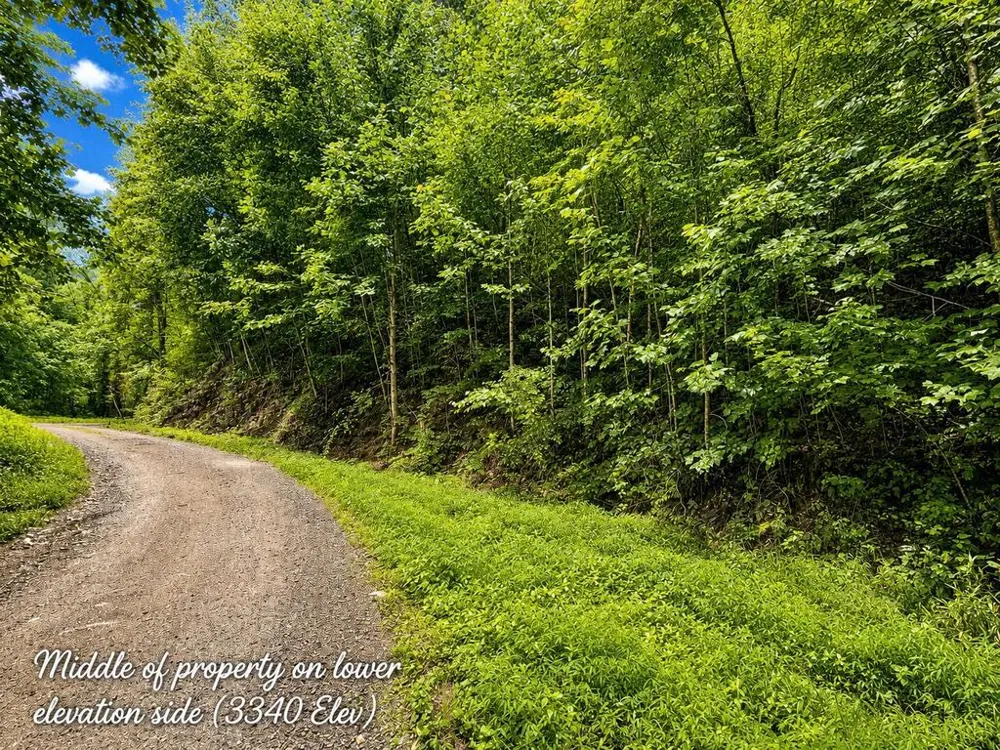 Yonah Trl Waynesville, NC 28785