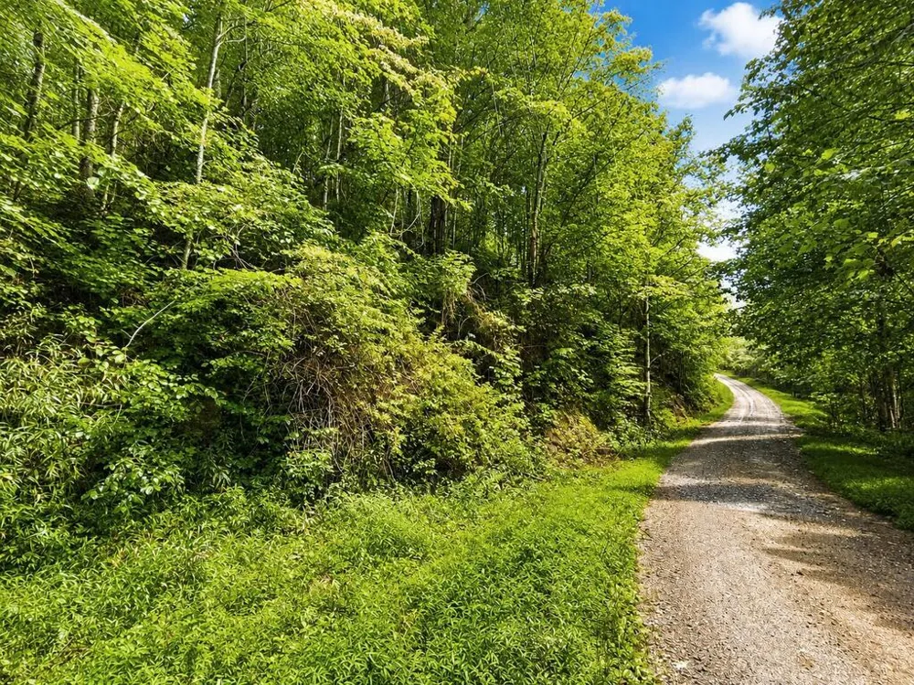 Yonah Trl Waynesville, NC 28785