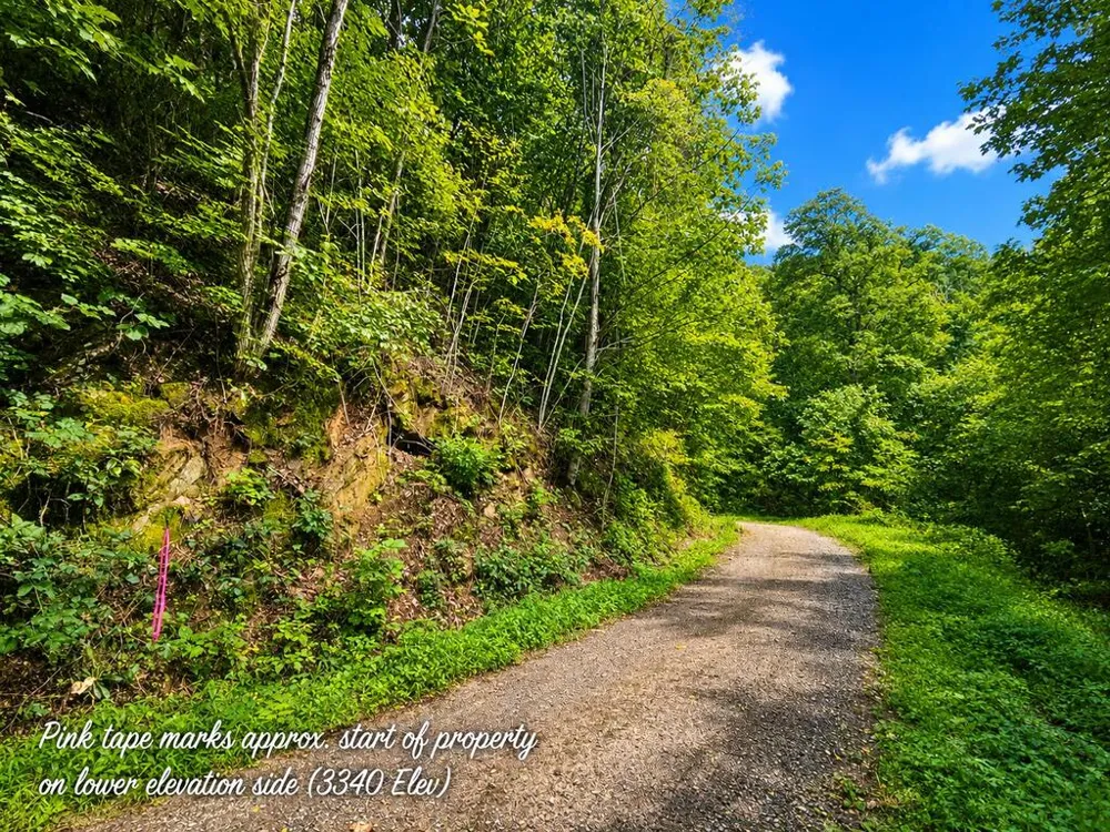 Yonah Trl Waynesville, NC 28785