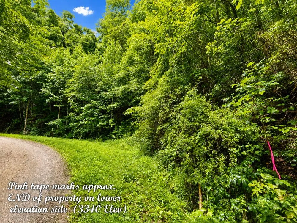 Yonah Trl Waynesville, NC 28785