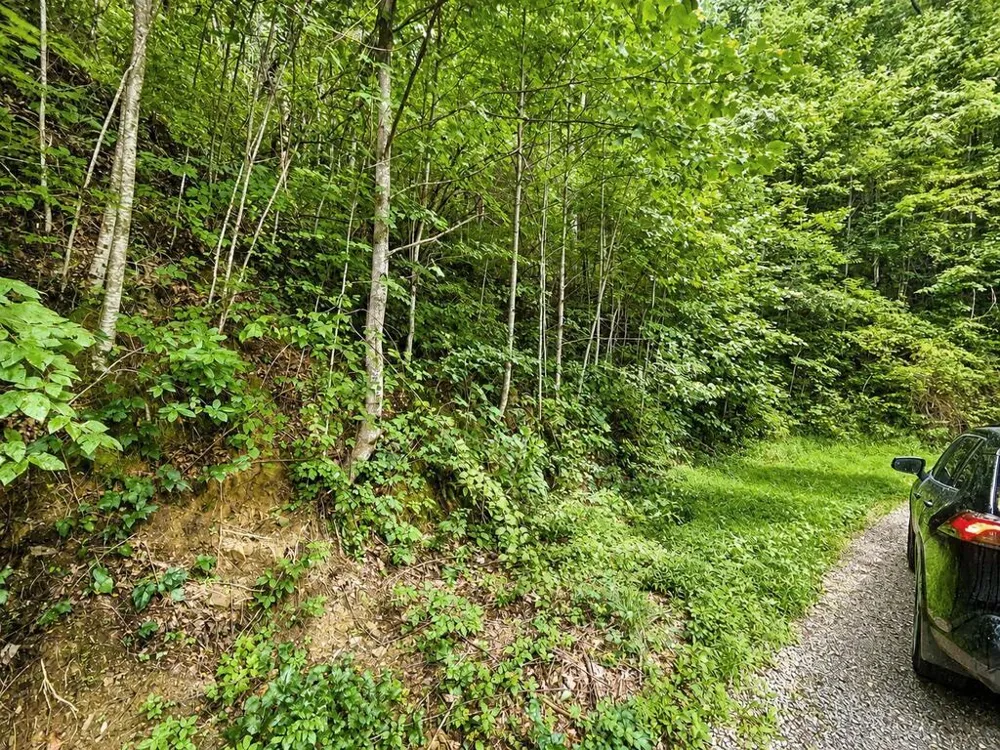 Yonah Trl Waynesville, NC 28785