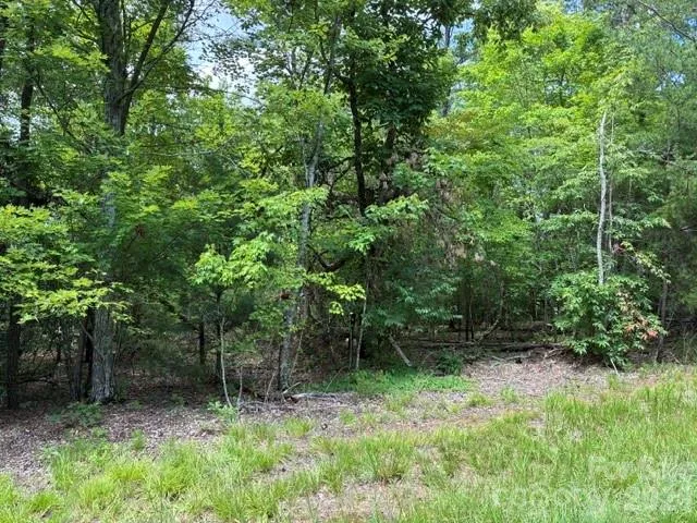 LOT 32 Justice Drive #32 Lake Lure, NC 28746