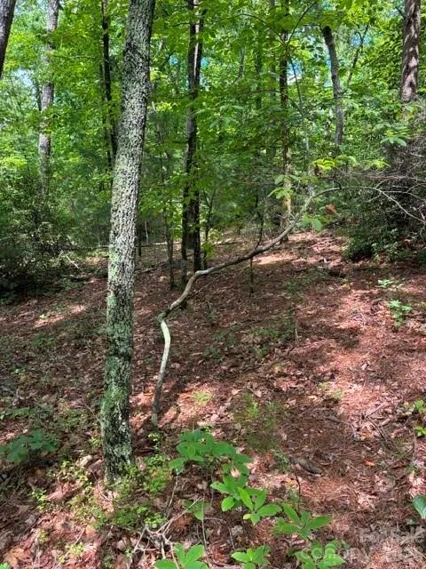 LOT 32 Justice Drive #32 Lake Lure, NC 28746