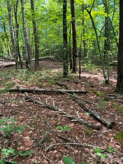 LOT 32 Justice Drive #32 Lake Lure, NC 28746