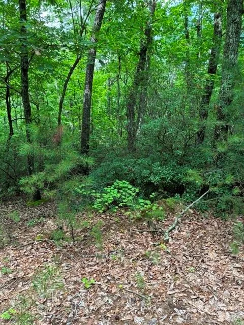 LOT 32 Justice Drive #32 Lake Lure, NC 28746