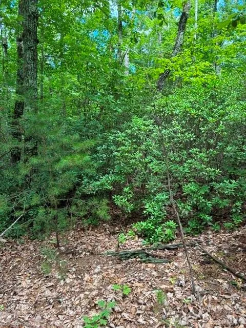 LOT 32 Justice Drive #32 Lake Lure, NC 28746