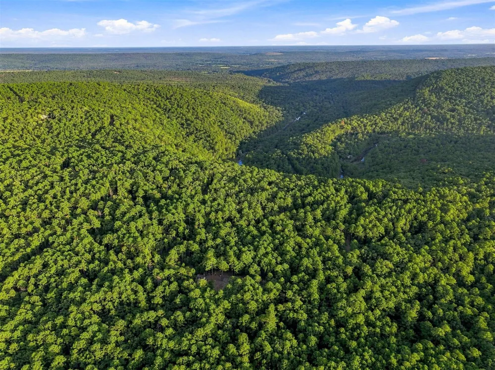 Overlook Trail Moyers, OK 74557