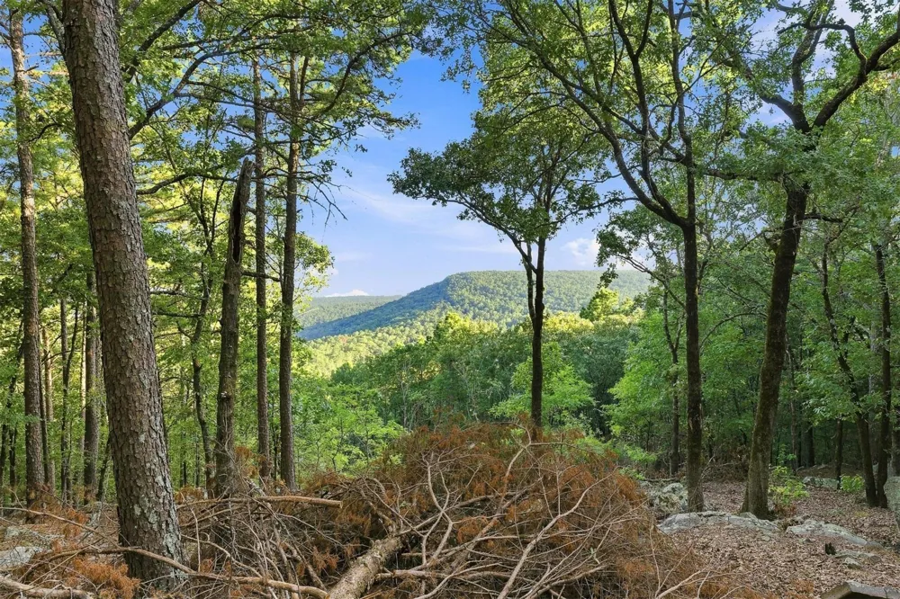 Overlook Trail Moyers, OK 74557
