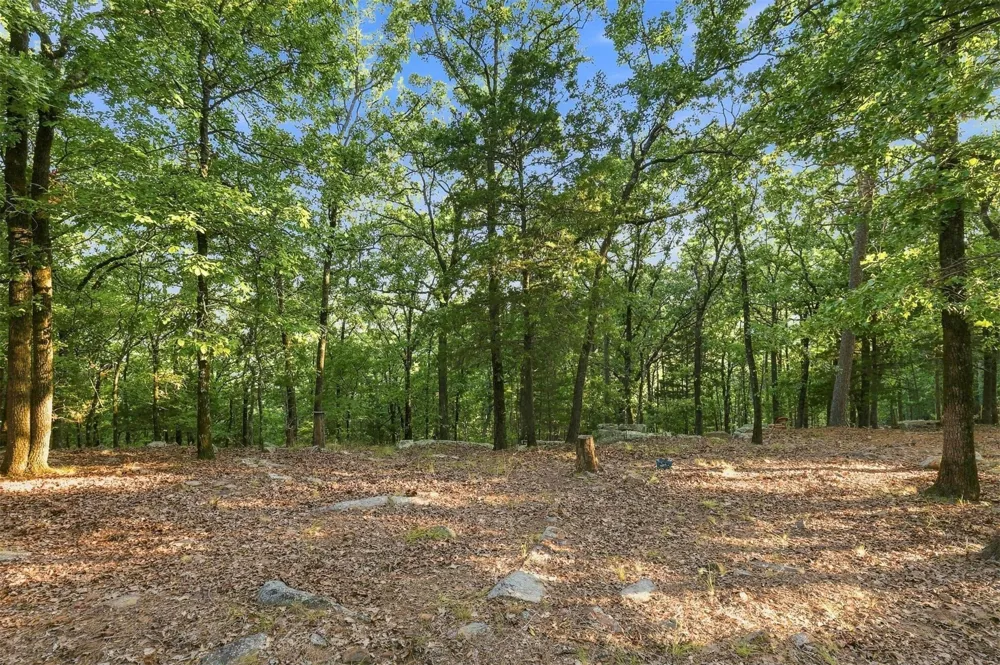 Overlook Trail Moyers, OK 74557