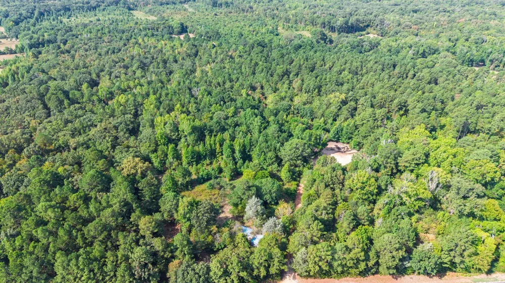 Fm 2225 Quitman, TX 75783