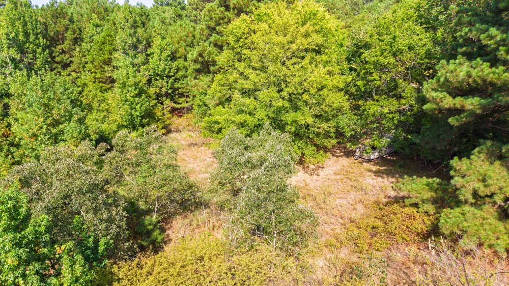 Fm 2225 Quitman, TX 75783