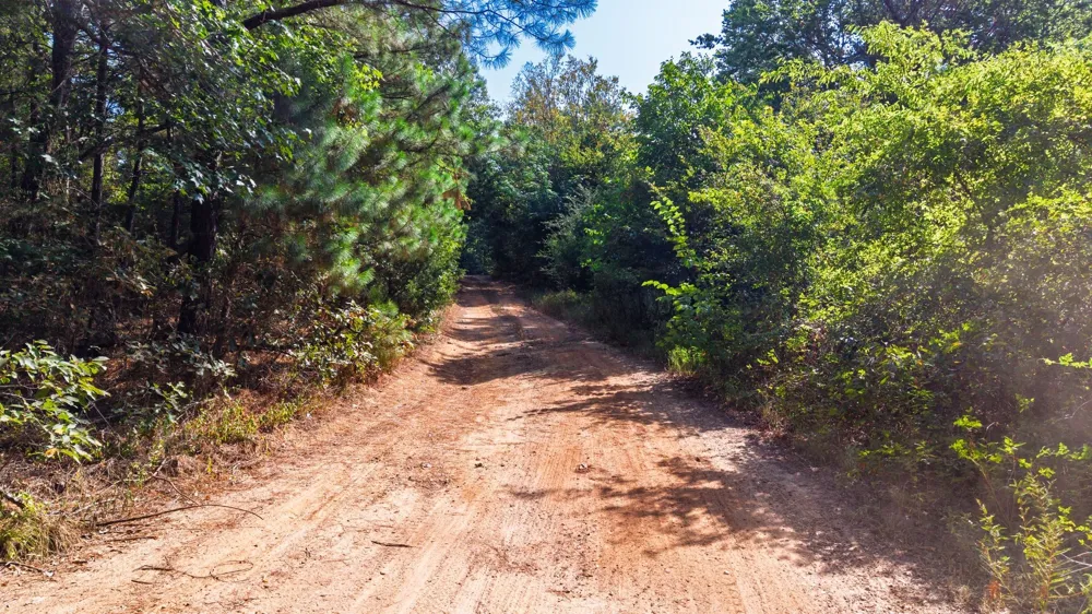 Fm 2225 Quitman, TX 75783