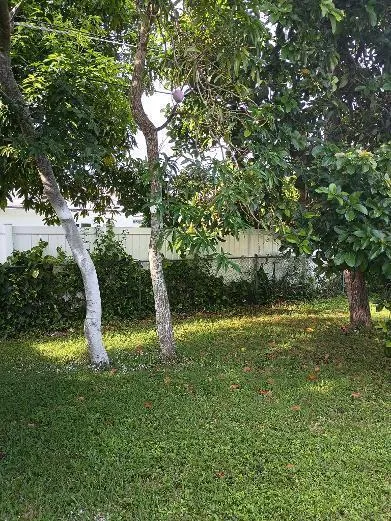 6761 NW 24TH COURT Margate, FL 33063