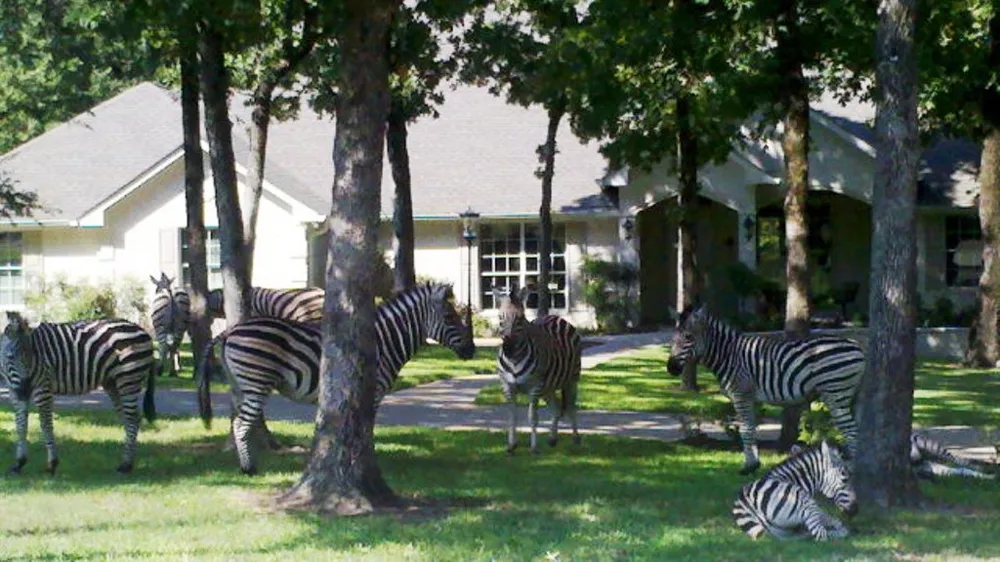 9007 Zebra Crossing Larue, TX 75770
