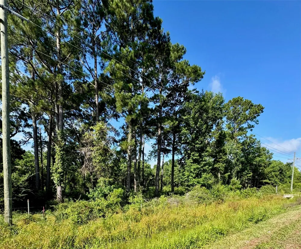 11742 Us Highway 90 E Liberty, TX 77575