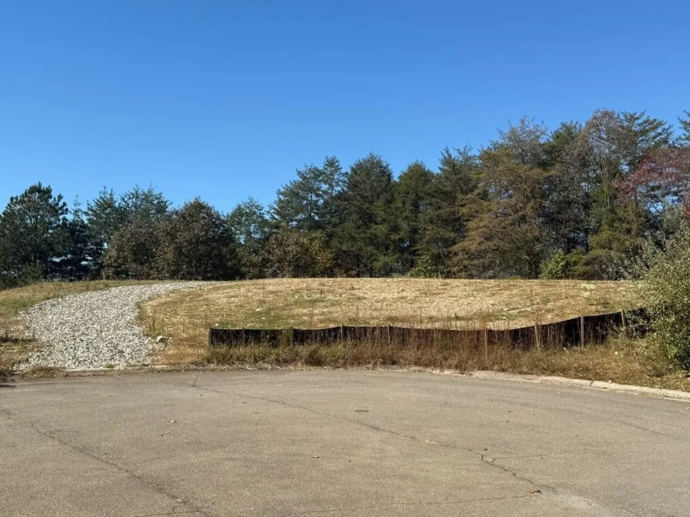 Lot 11 Lindsey Lane Blue Ridge, GA 30513