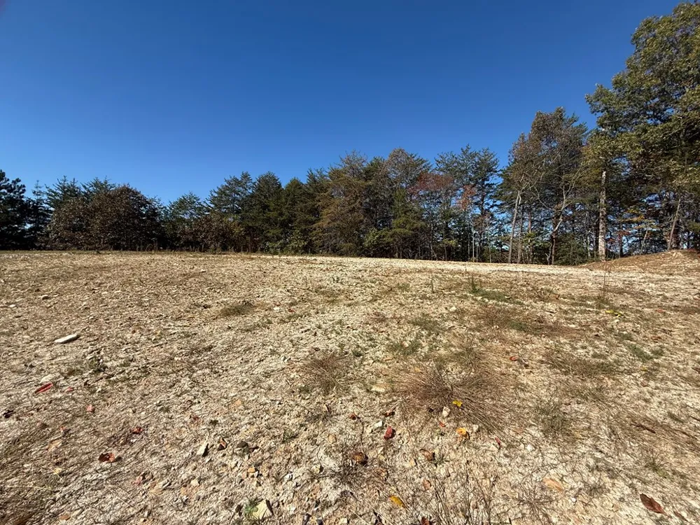 Lot 11 Lindsey Lane Blue Ridge, GA 30513