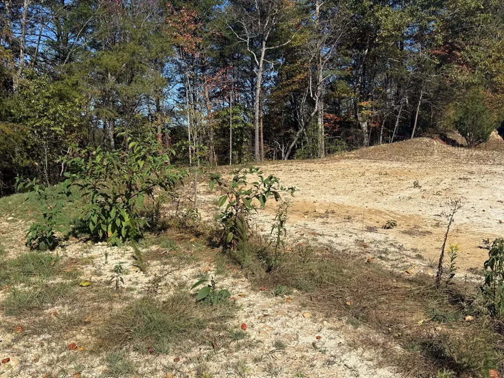 Lot 11 Lindsey Lane Blue Ridge, GA 30513