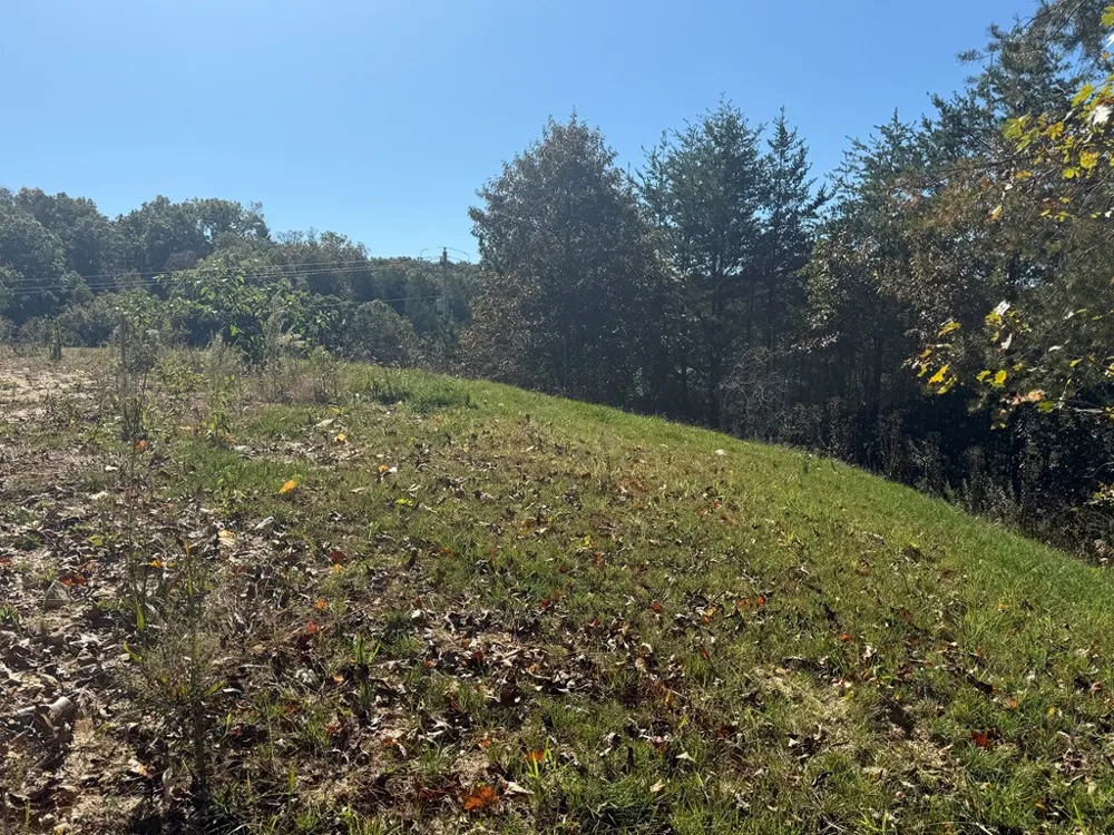 Lot 11 Lindsey Lane Blue Ridge, GA 30513